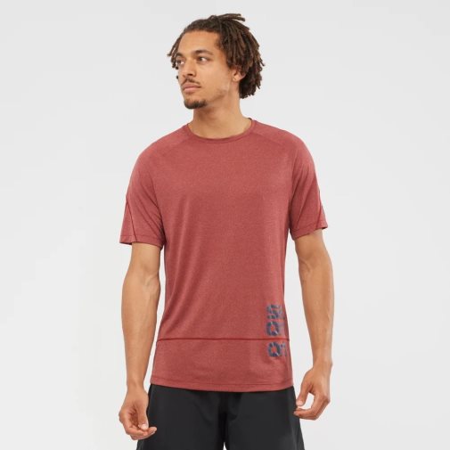 Dark Red Salomon Cross Run Graphic Short Sleeve Men's T-Shirts | PH 34210U